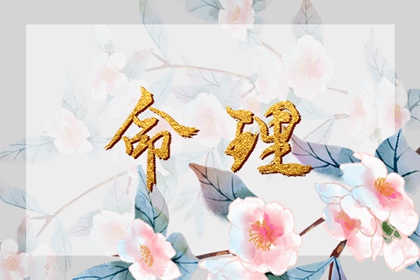 老皇历_择吉老黄历皇历_择吉老皇历